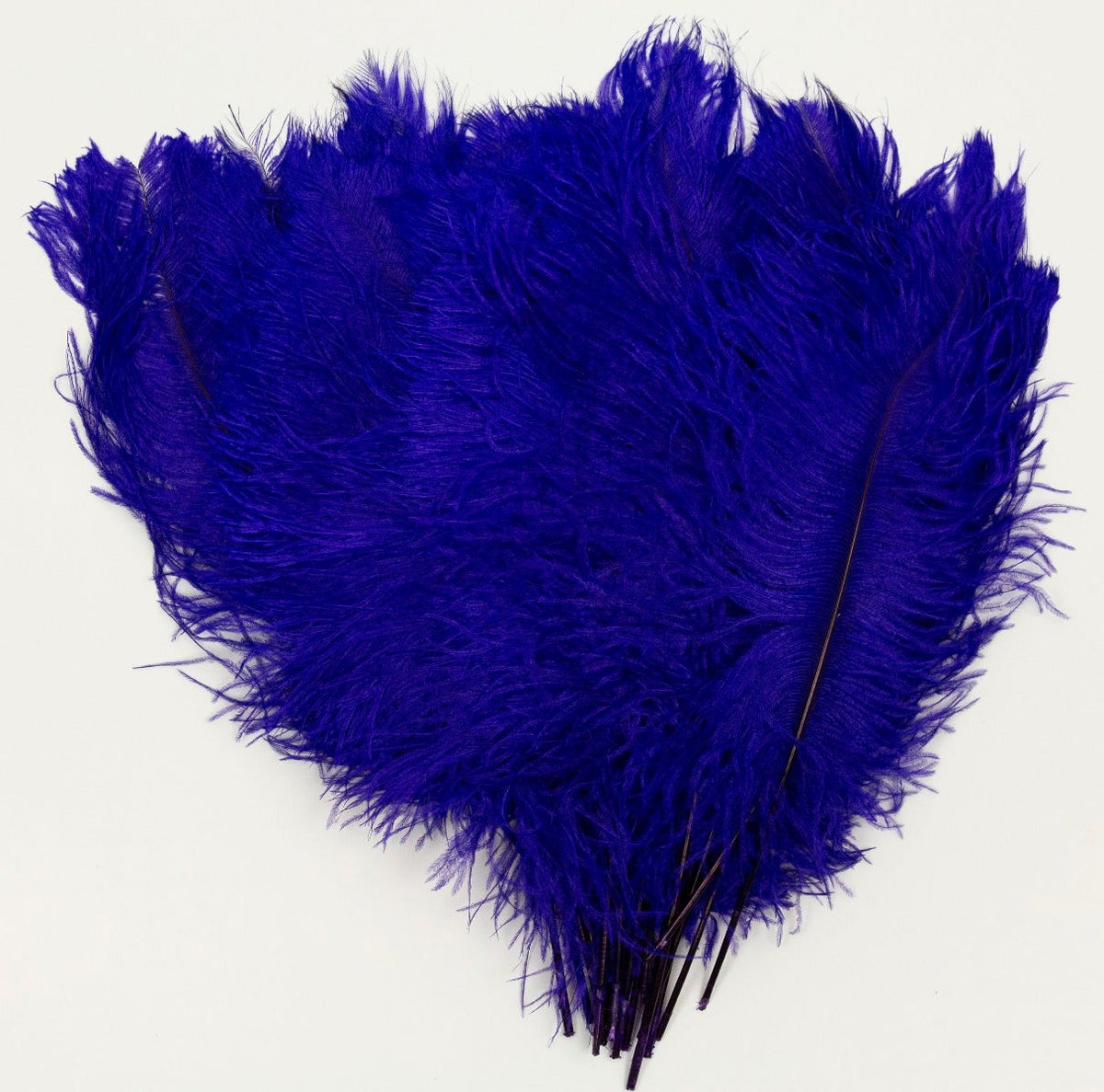 Ostrich Tails 16-18 inch - 30 PC - Regal
