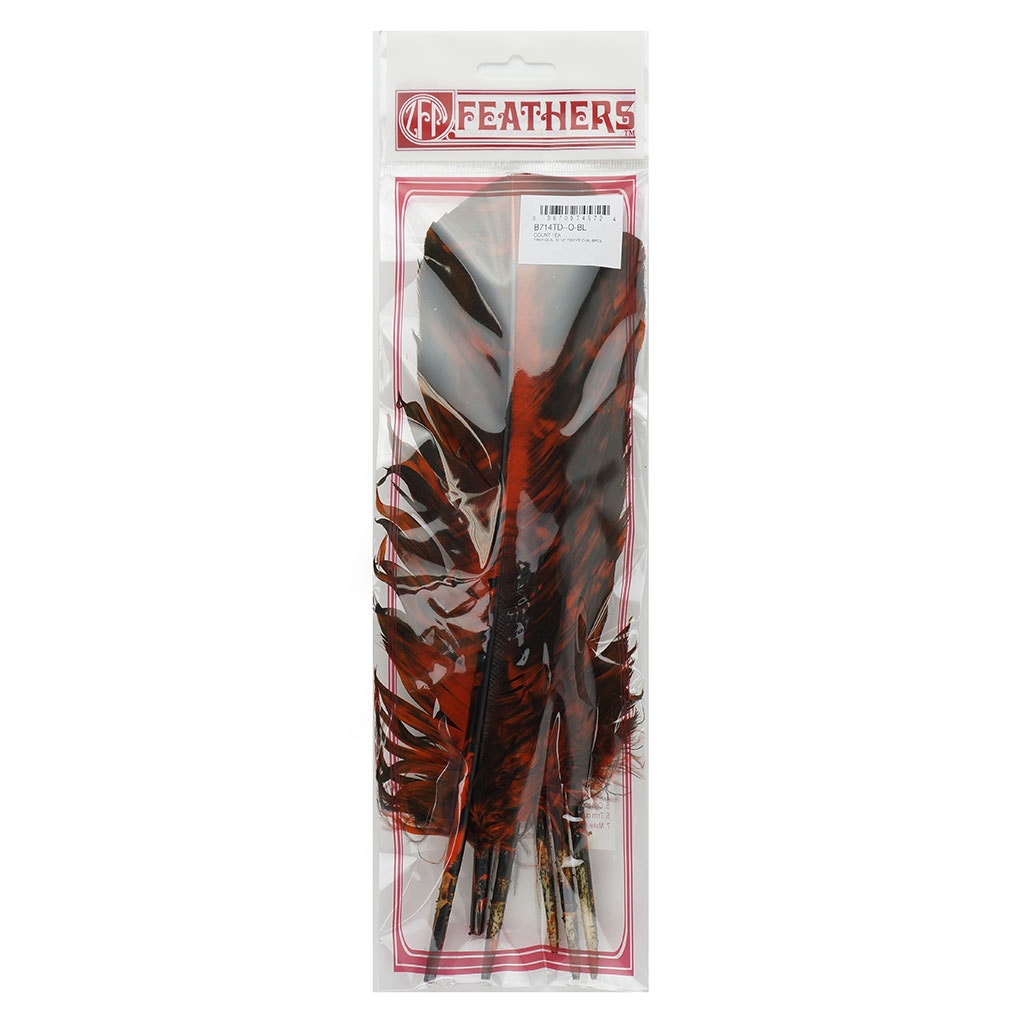 Turkey Quill - Tie Dye - Orange and Black