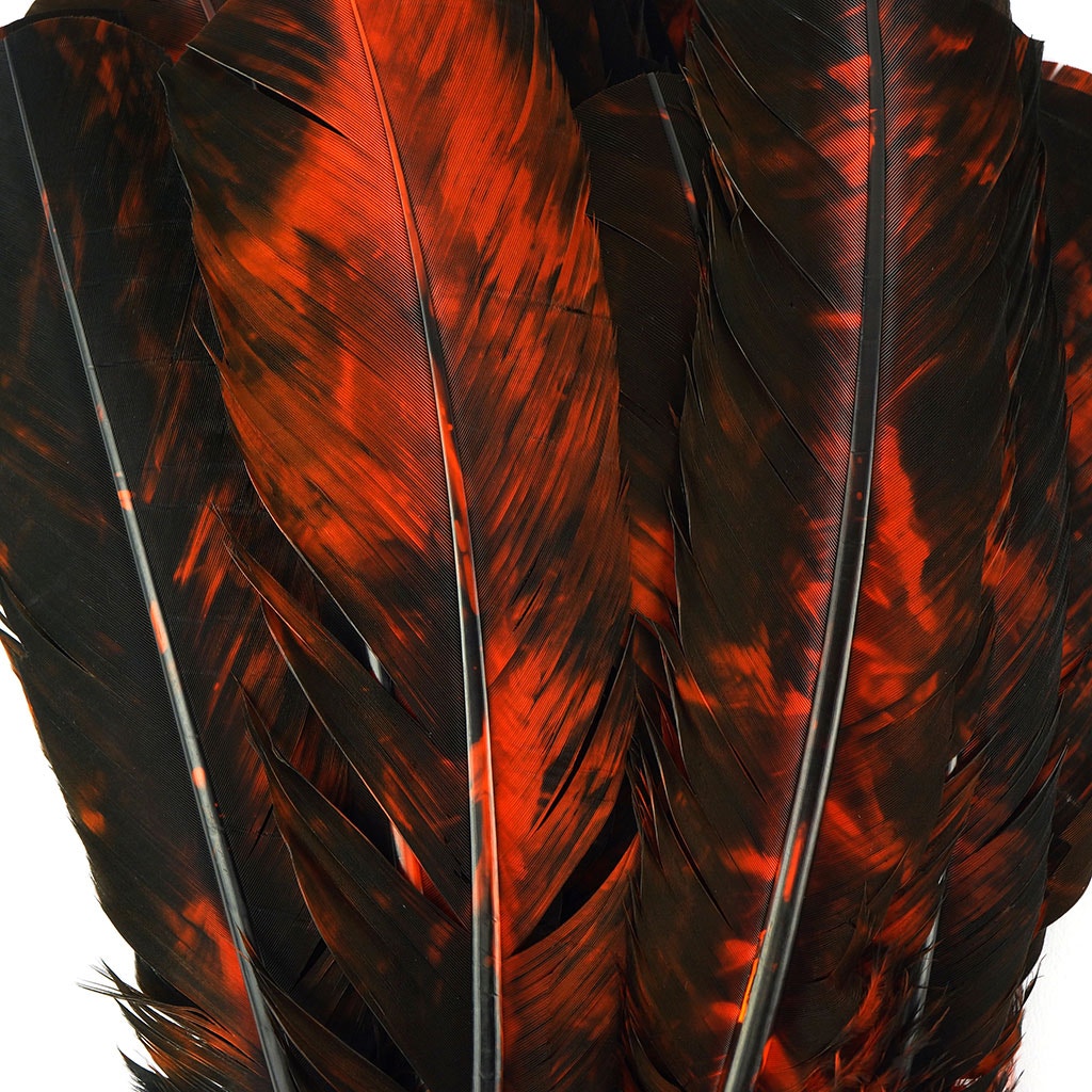 Turkey Quill Left Wing - Tie Dye - Orange & Black
