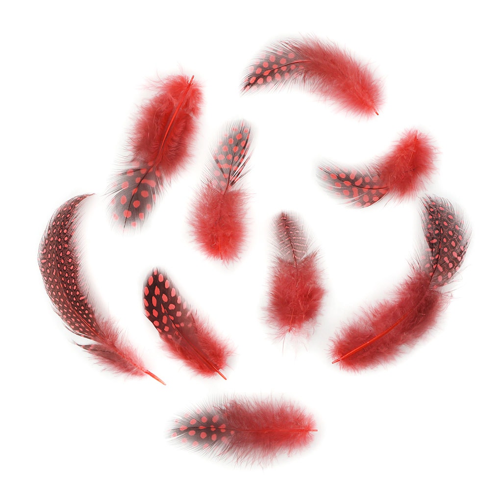 Bulk Guinea Hen Plumage - 1/4 lb - Hot Orange