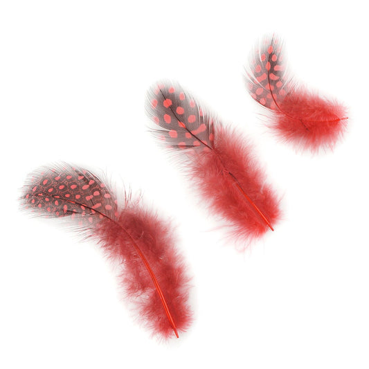 Bulk Guinea Hen Plumage - 1/4 lb - Hot Orange