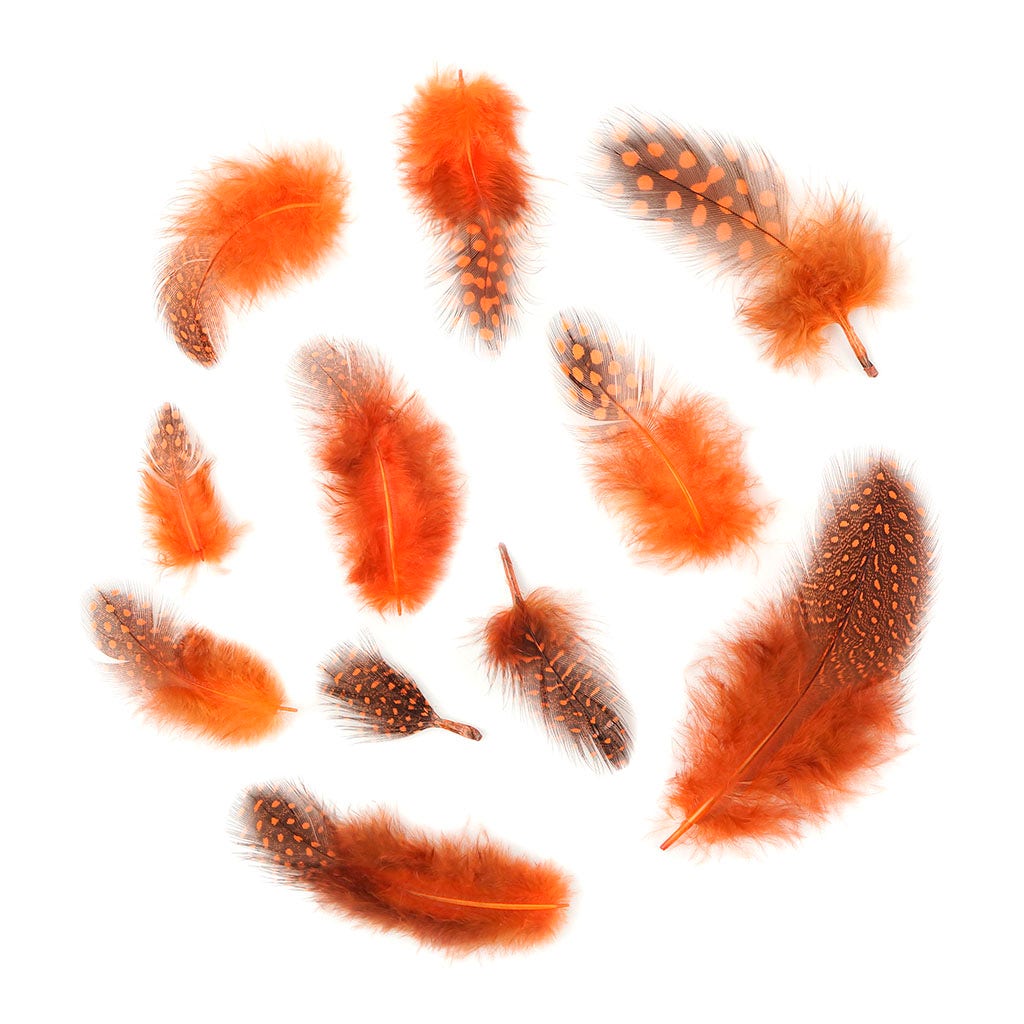 Bulk Guinea Hen Plumage - 1/4 lb - Orange