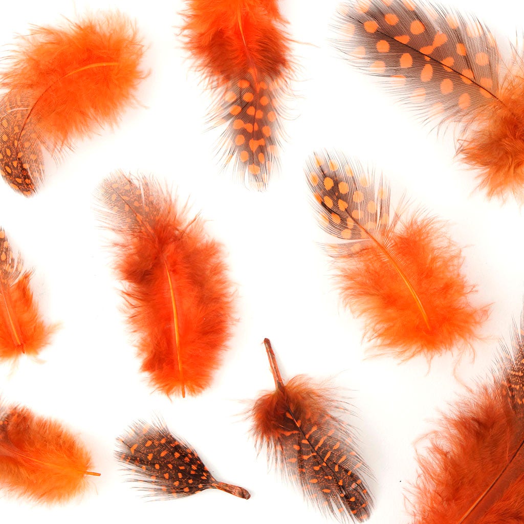 Bulk Guinea Hen Plumage - 1/4 lb - Orange