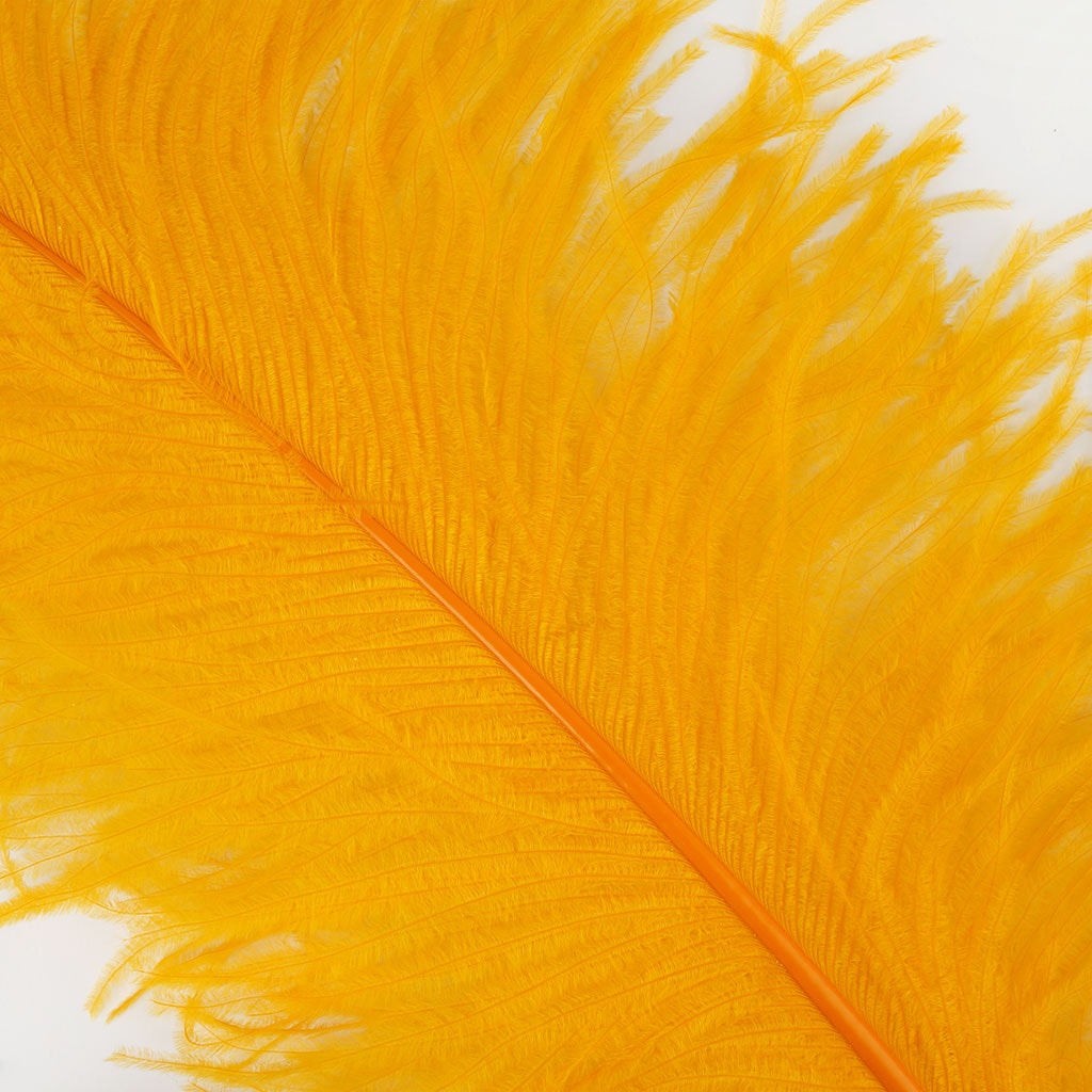 Large Ostrich Feathers - 20-25" Prime Femina Plumes - Mango
