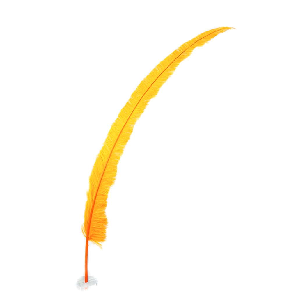 Ostrich Nandu Feathers - Mango