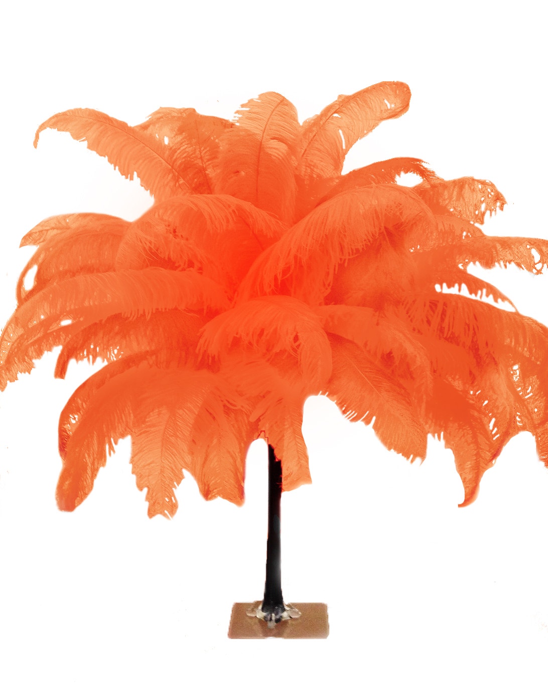 Ostrich Selected Spad Feathers [Premium Top Quality] Hot Orange