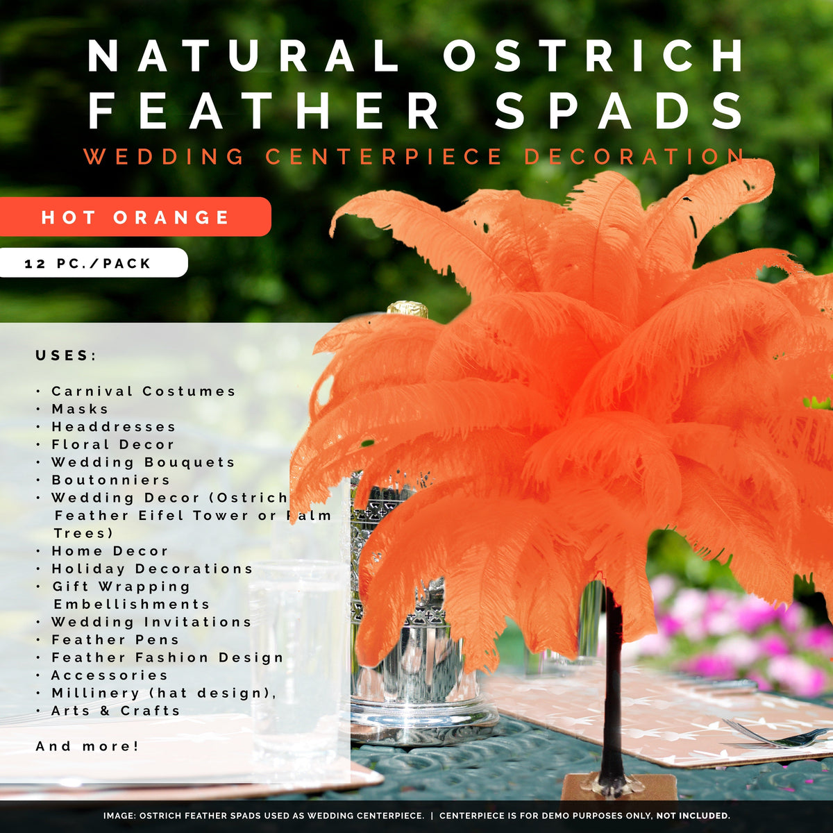 Ostrich Selected Spad Feathers [Premium Top Quality] Hot Orange