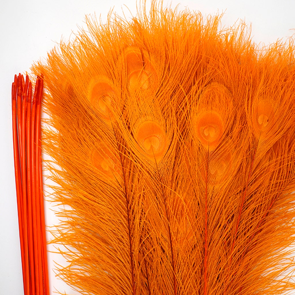 Peacock Tail Eyes Bleached Dyed - Orange
