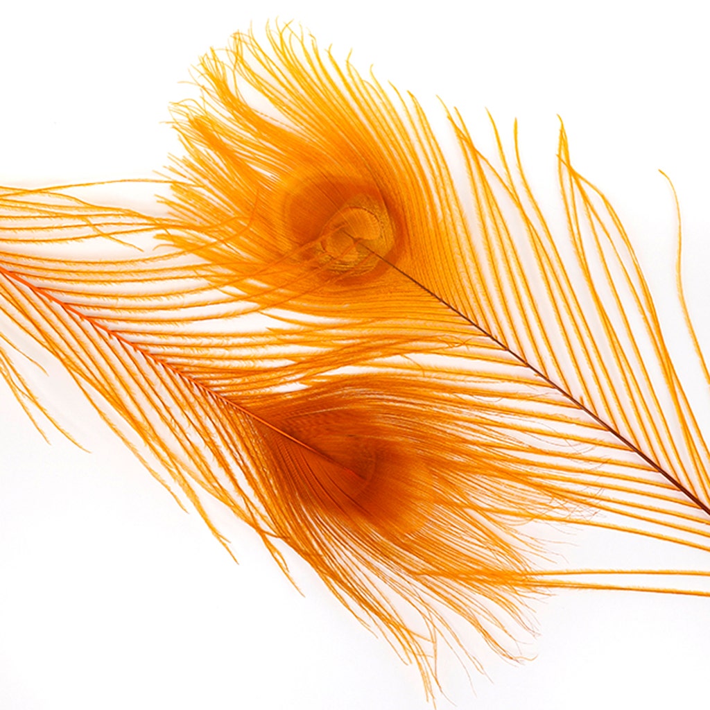 Peacock Tail Eyes Bleached Dyed - Orange