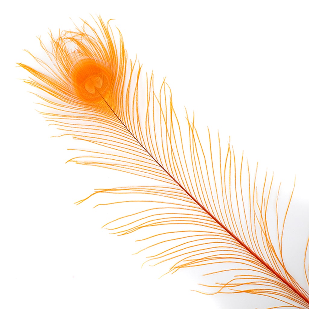 Peacock Tail Eyes Bleached Dyed - Orange