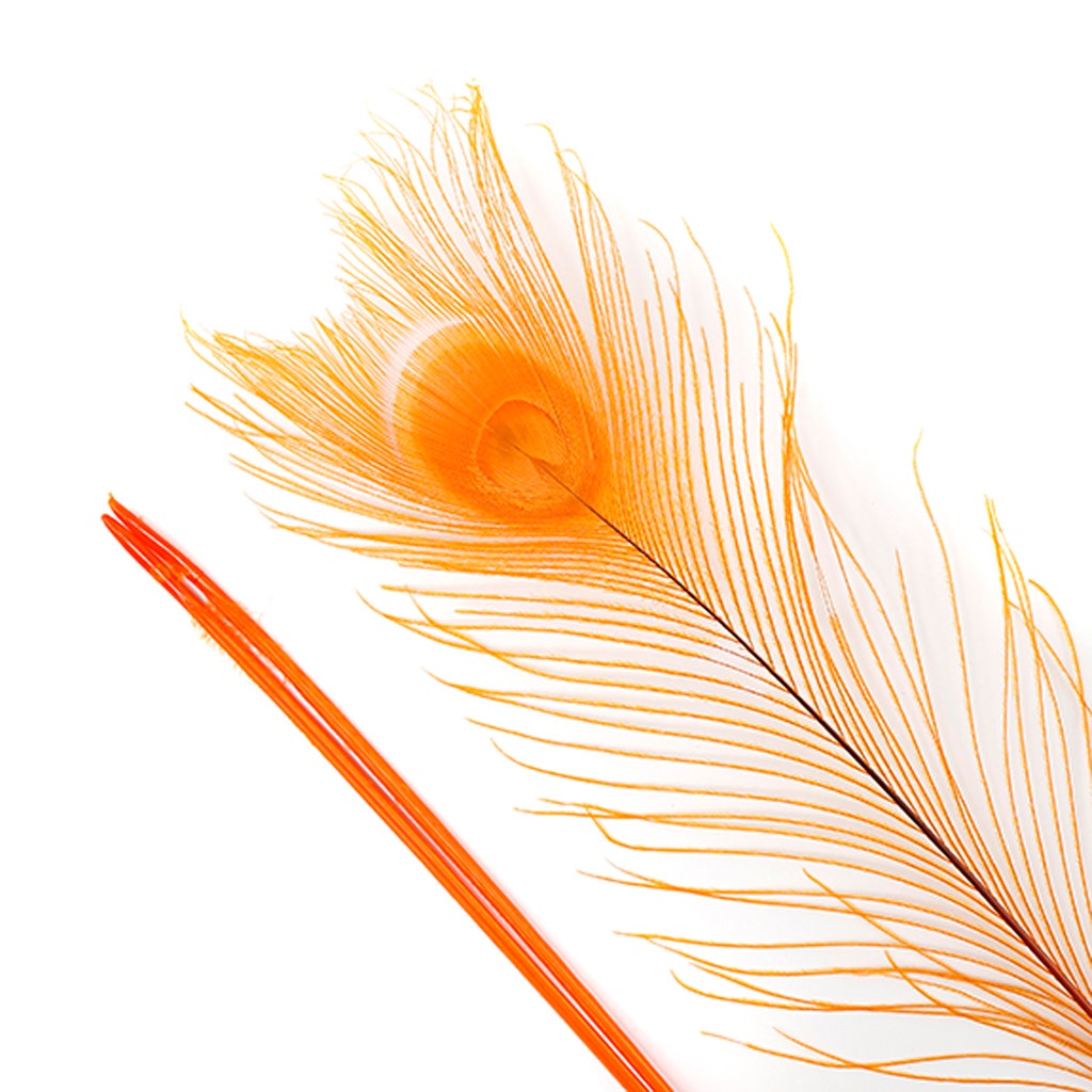 Peacock Tail Eyes Bleached Dyed - Orange