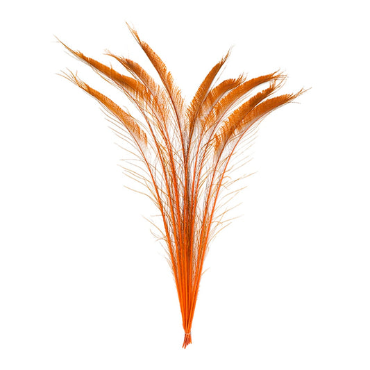 Peacock Swords Bleached/Dyed - Orange