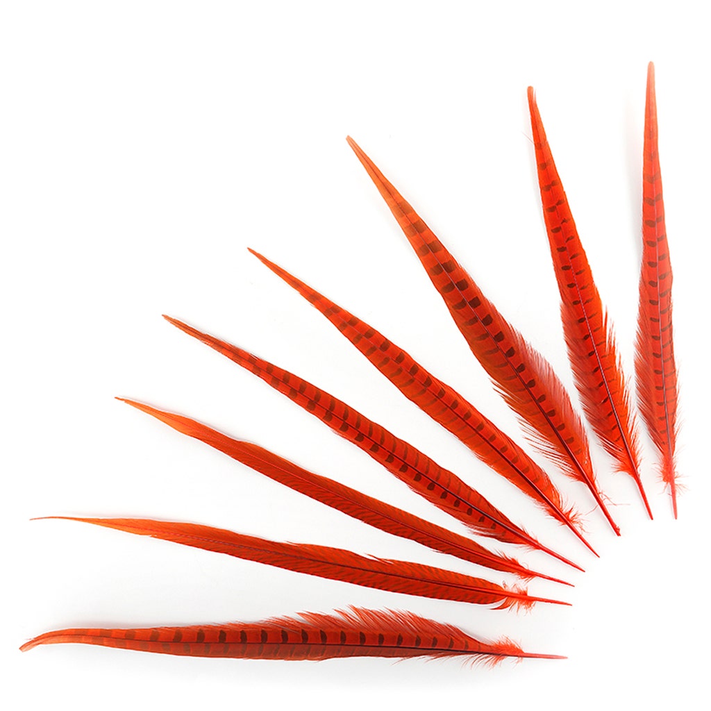 Assorted Pheasant Tails Dyed - Orange