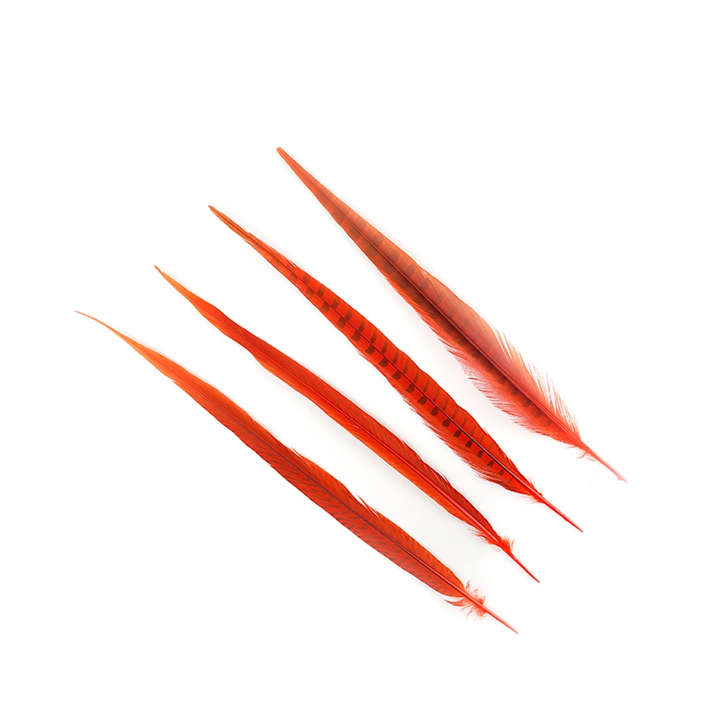 Assorted Pheasant Tails Dyed - Orange