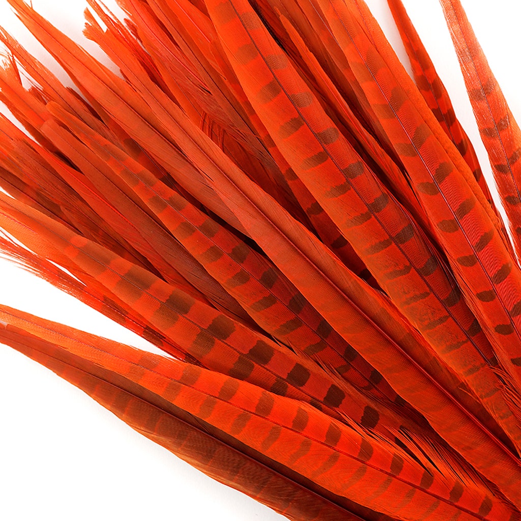 Assorted Pheasant Tails Dyed - Orange