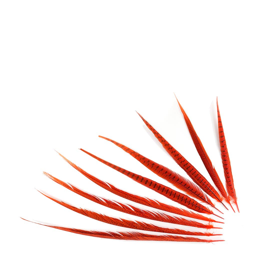 Assorted Pheasant Tails Dyed - Orange