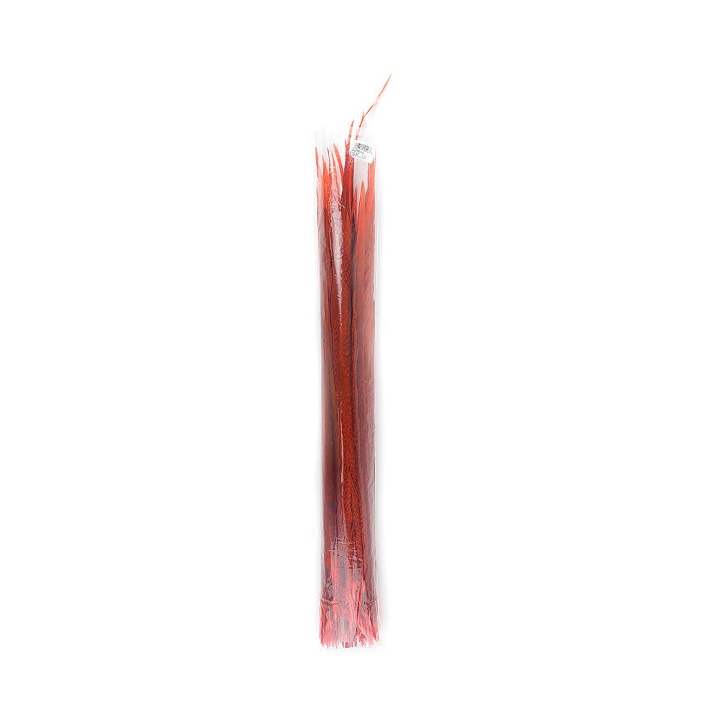 Assorted Pheasant Tails Dyed - Orange
