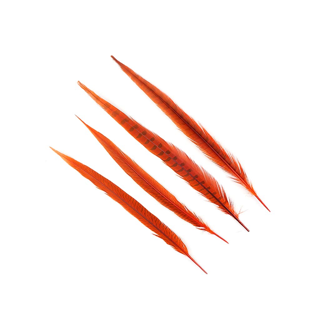 Pheasant Tails Assorted Bleached - Orange