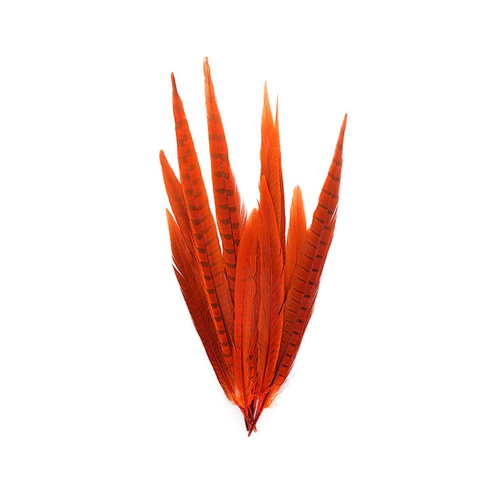 Pheasant Tails Assorted Bleached - Orange