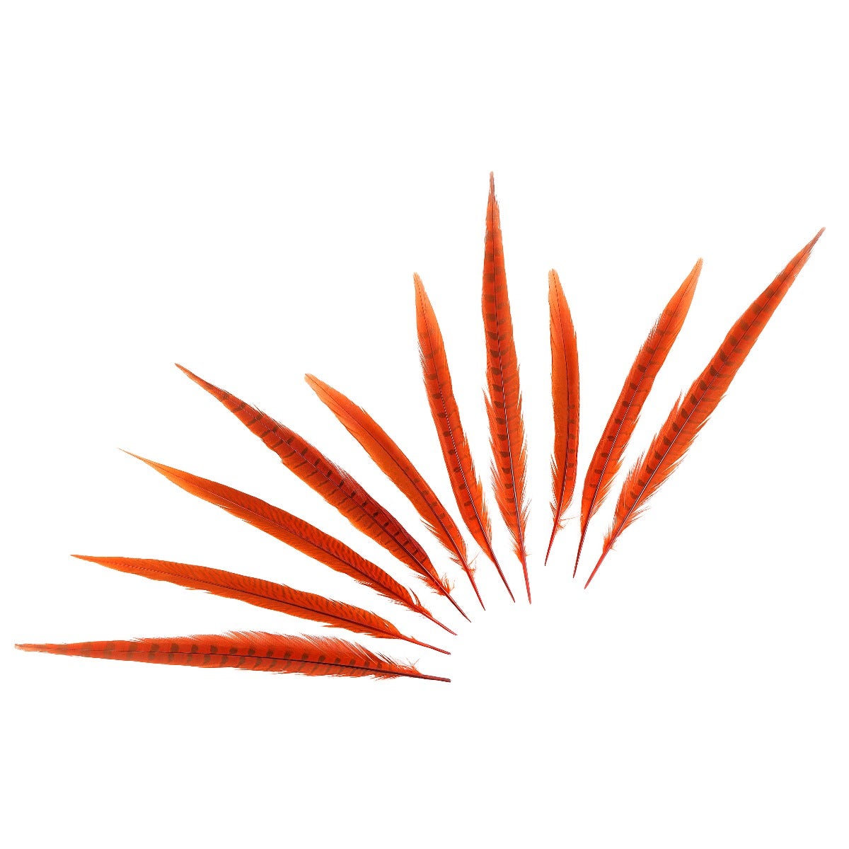 Pheasant Tails Assorted Bleached - Orange