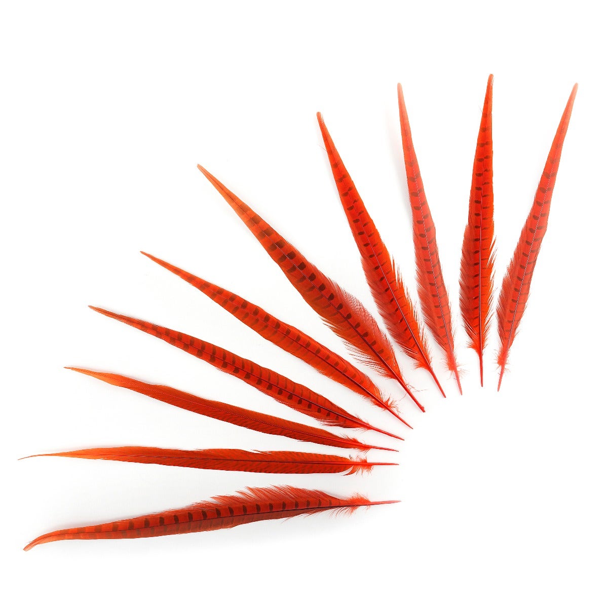 Pheasant Tails Assorted Bleached - Orange