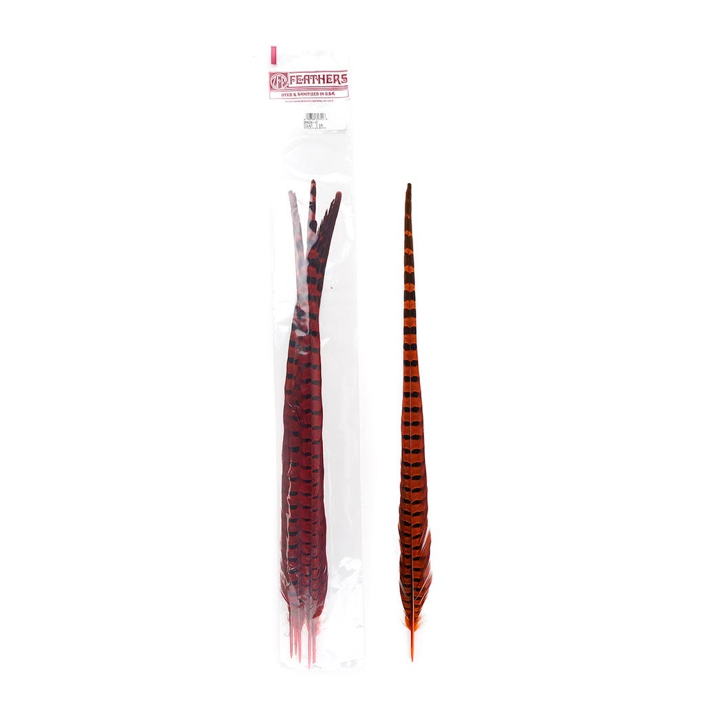 Ringneck Pheasant Tails 20-24" Dyed -5pcs - Orange