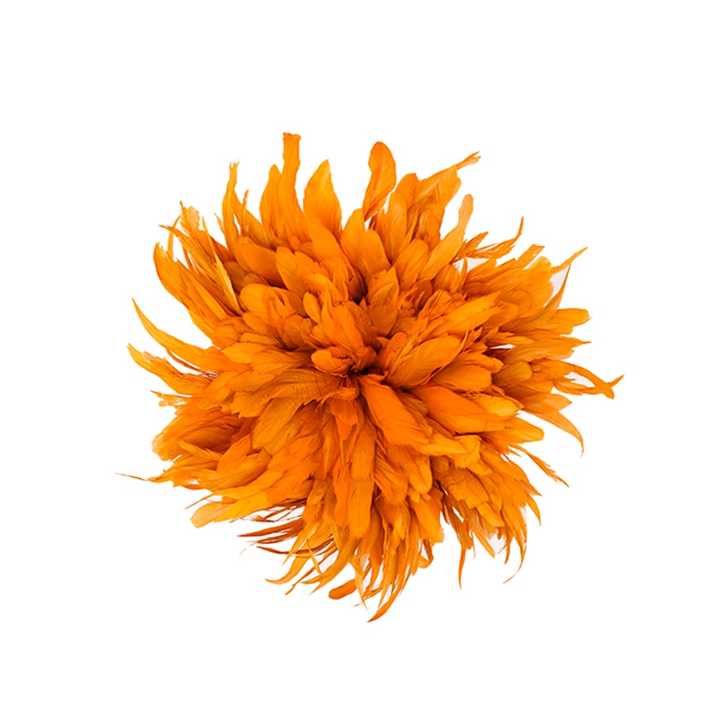 Rooster Coque Tail Feathers Bleach and Dyed - Orange