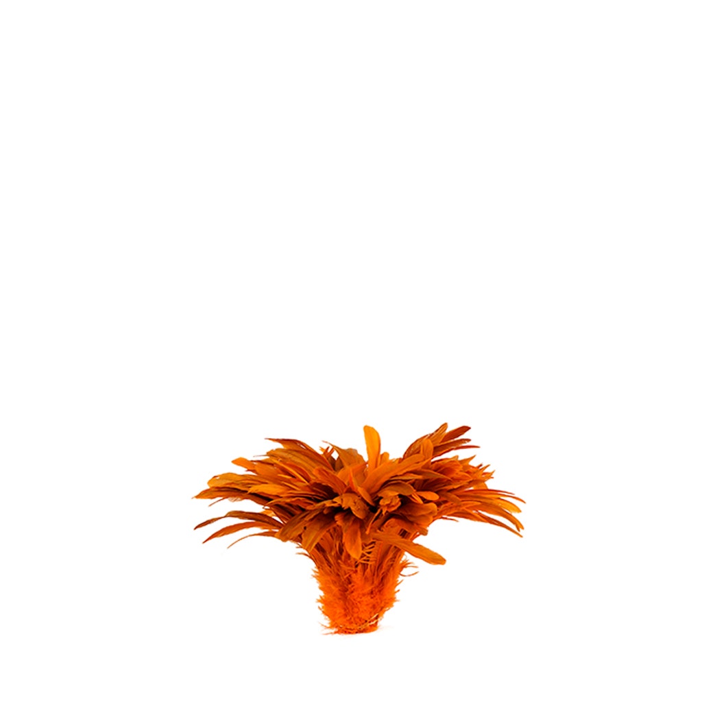 Rooster Coque Tails-Bleach-Dyed - Orange