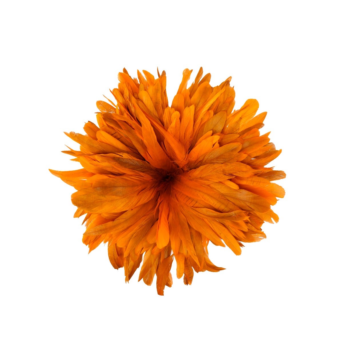 ROOSTER COQUE TAILS FEATHERS BLEACH DYED 7-10” - 1/2 Yard ( 18" ) - Orange