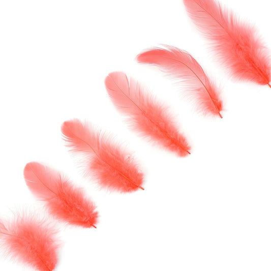 Rooster Plumage-White-Dyed - Hot Orange