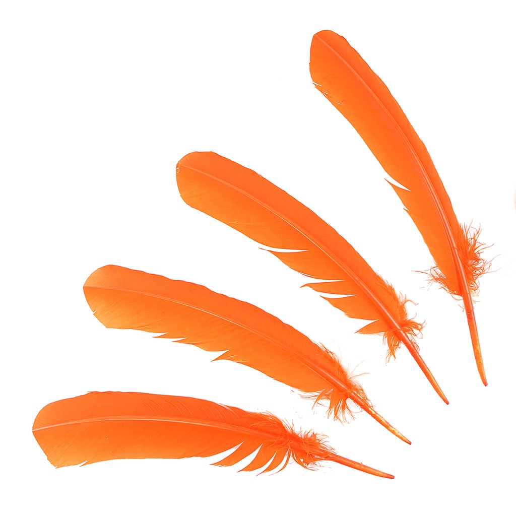 Dyed Turkey Quill Feathers - Orange