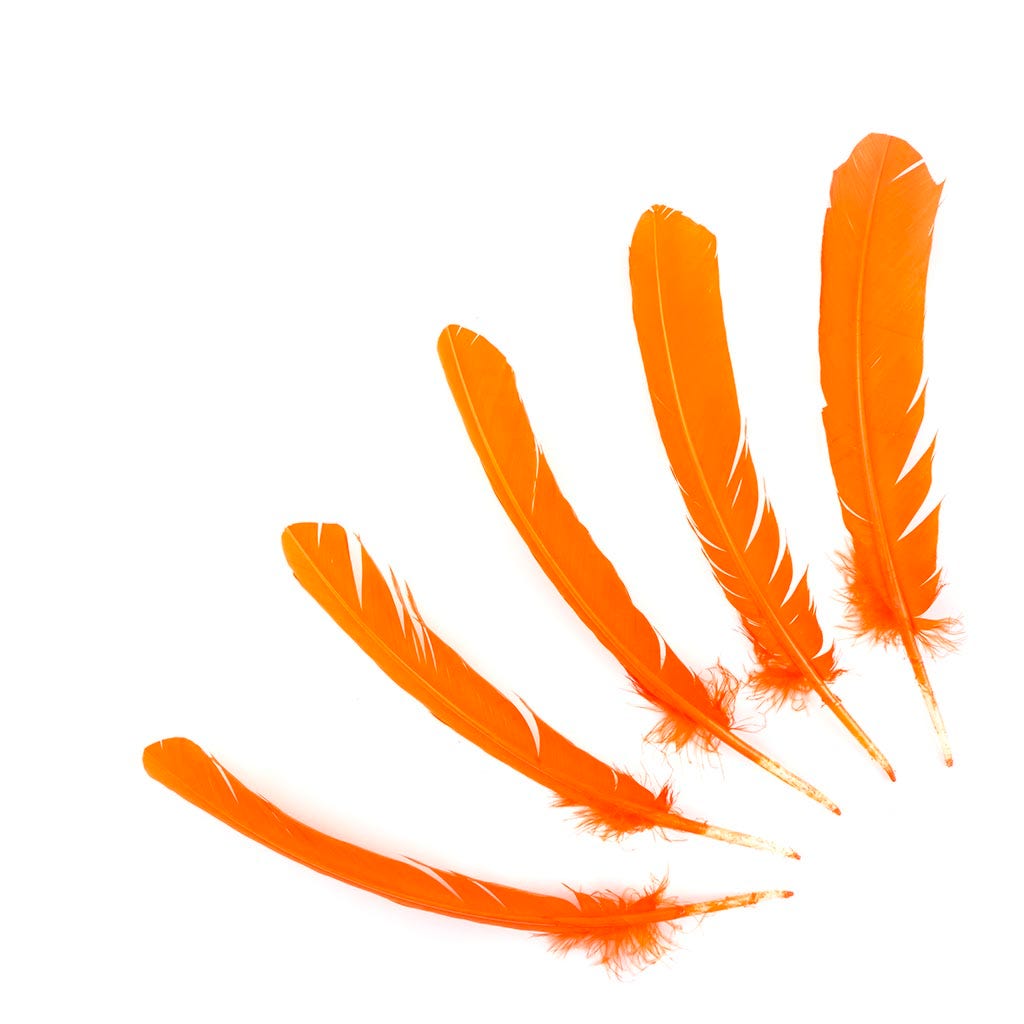 Turkey Quills Selected - Orange