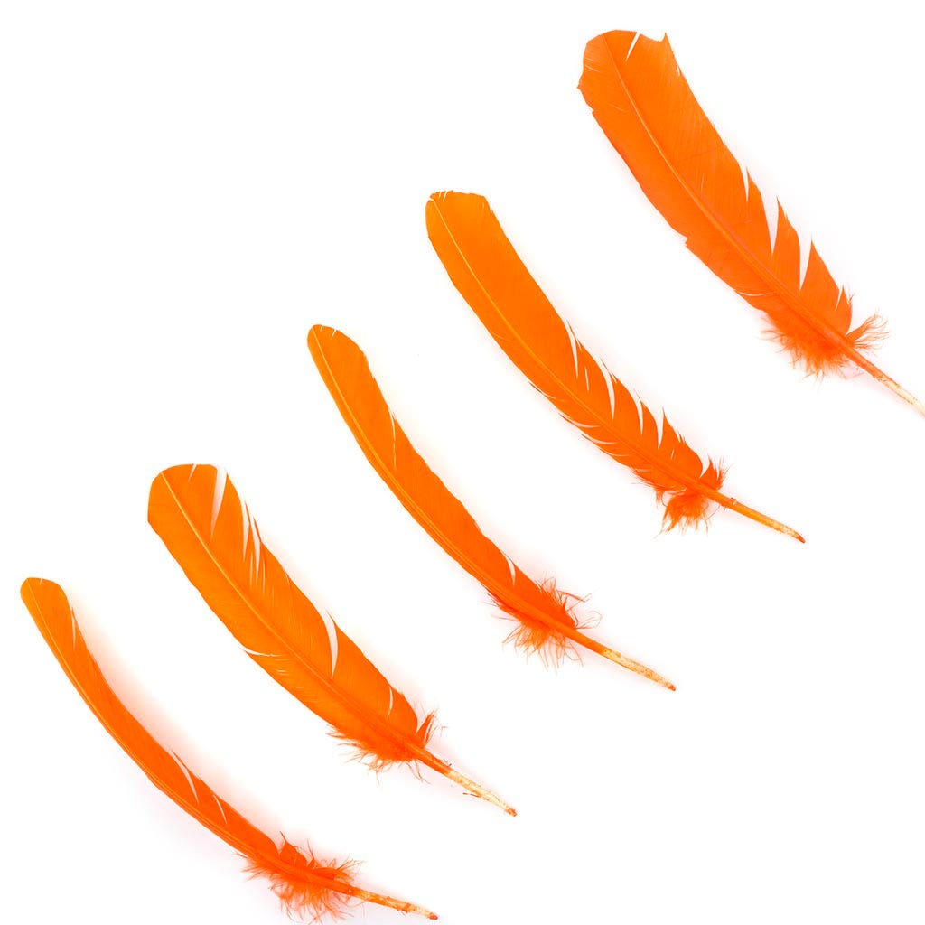 Turkey Quills Selected - Orange