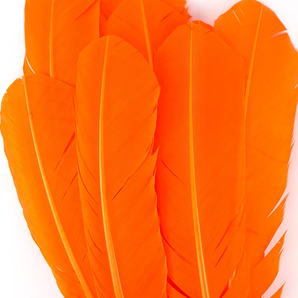 Turkey Quills Selected - Orange