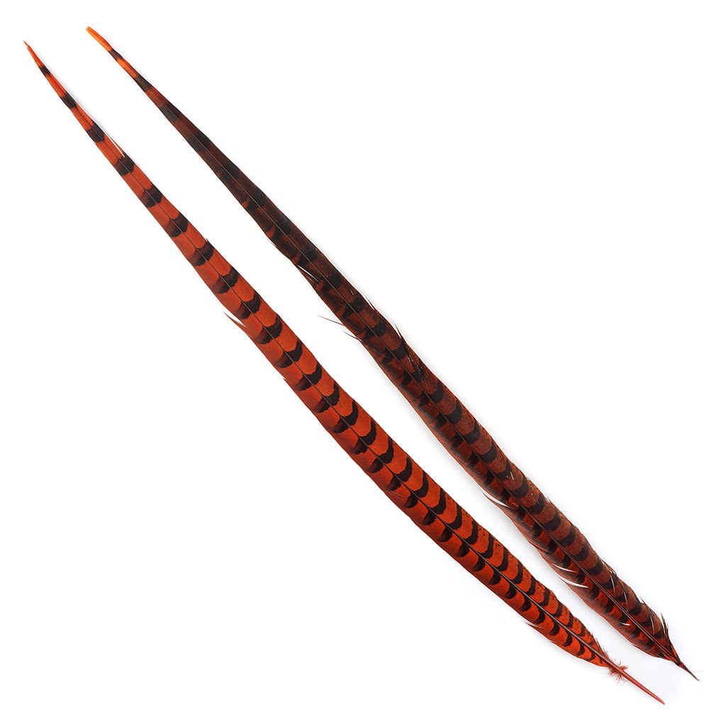 Venery Pheasant Tails - Dyed - 30 - 40" 1pc Orange