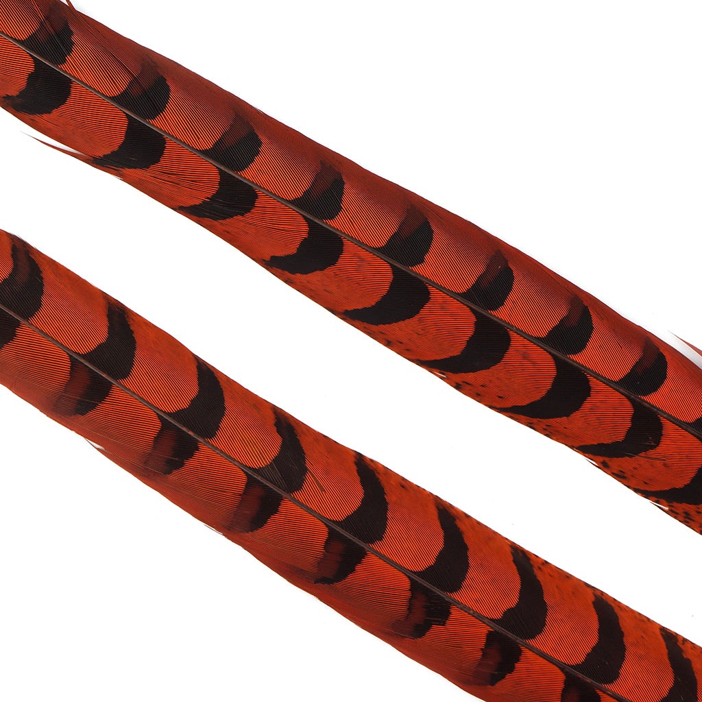 Venery Pheasant Tails - Dyed - 30 - 40" 1pc Orange
