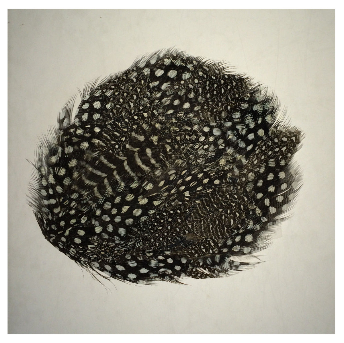 Natural Guinea Feather Pad - Natural