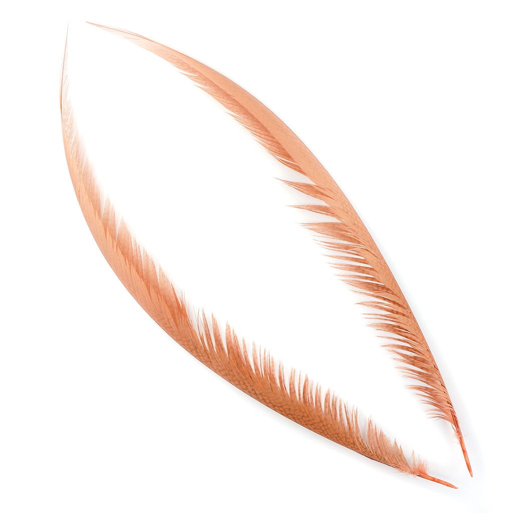 Golden Pheasant Center Tails Dyed Apricot Blush
