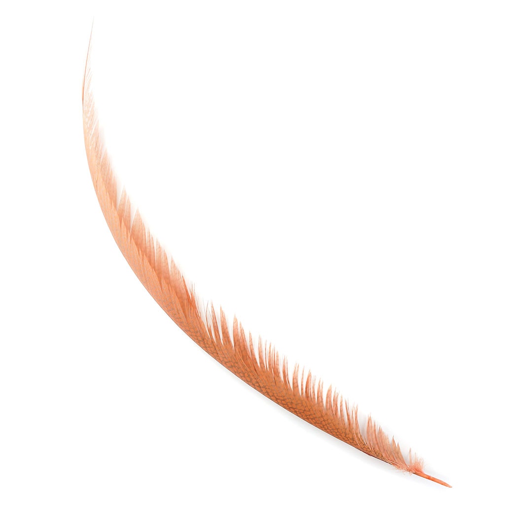 Golden Pheasant Center Tails Dyed Apricot Blush