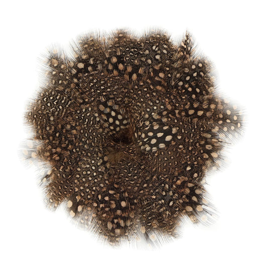 Guinea Plumage Feathers - Cinnamon
