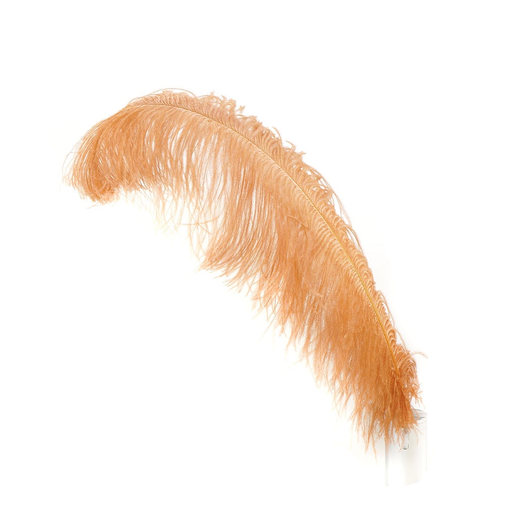 Large Ostrich Feathers - 20-25" Prime Femina Plumes - Cinnamon