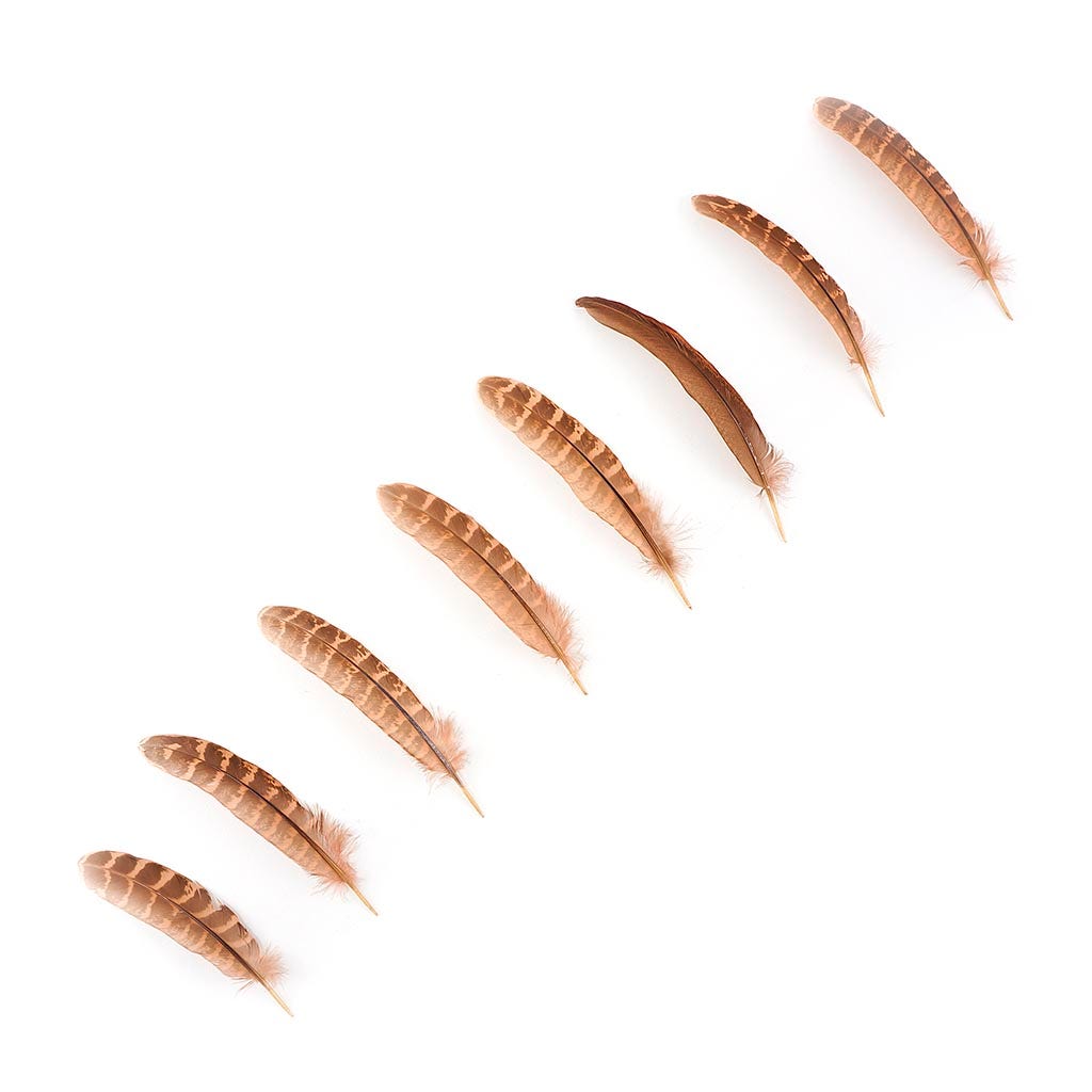Pheasant Tail Feathers Dyed - Cinnamon