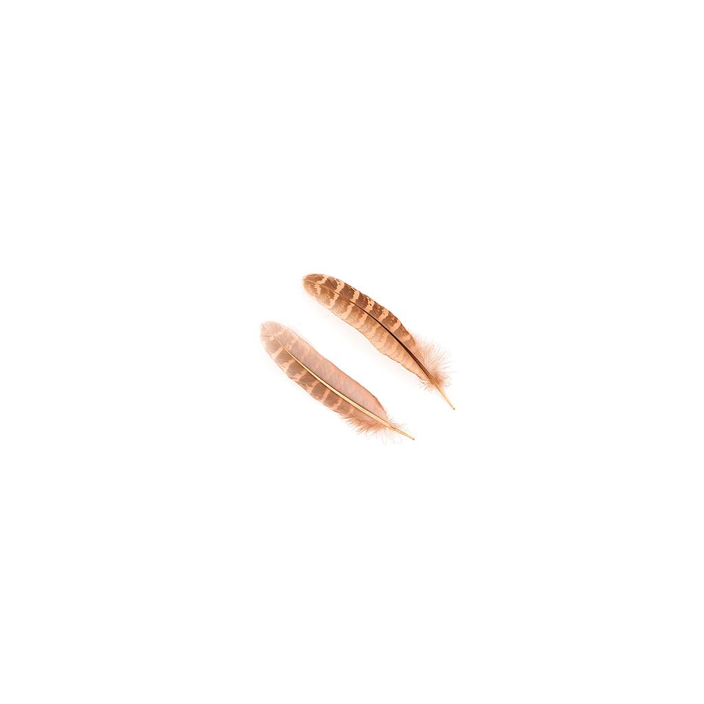 Pheasant Tail Feathers Dyed - Cinnamon