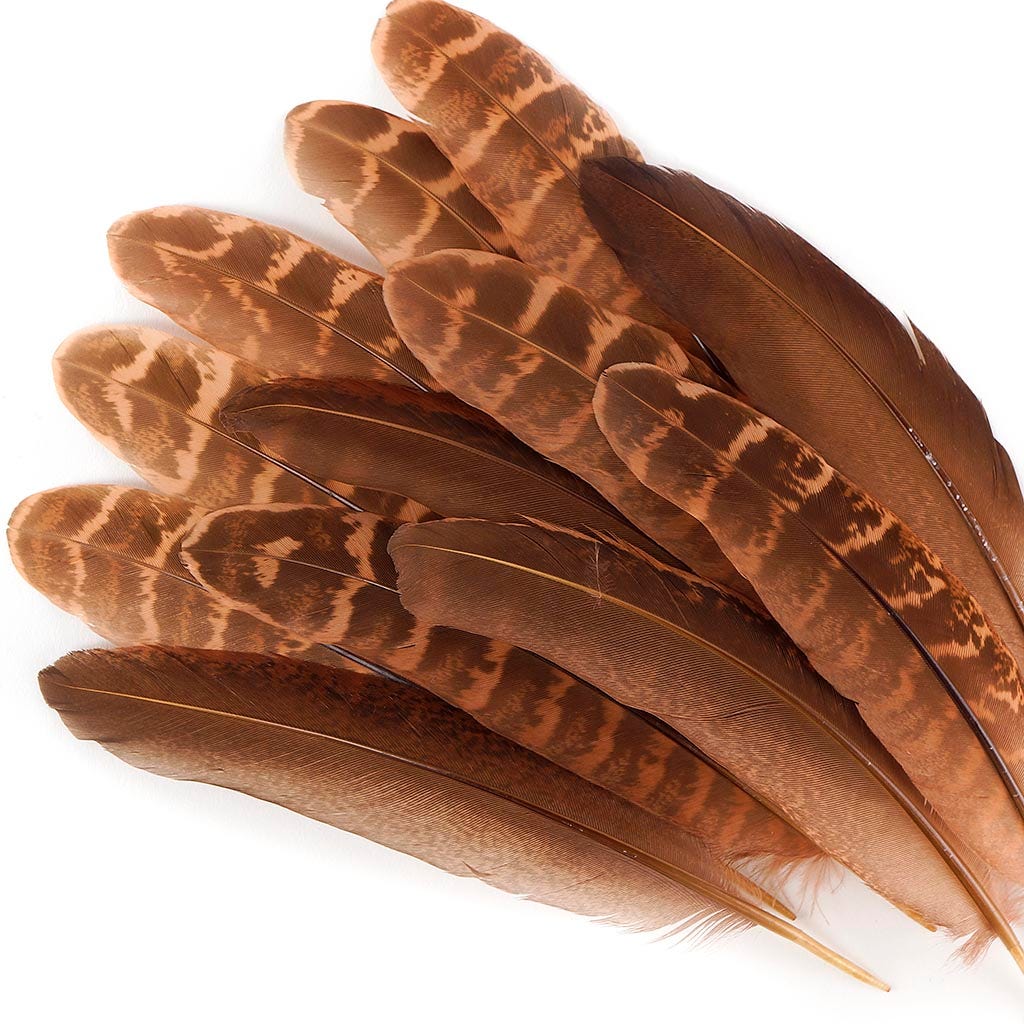 Pheasant Tail Feathers Dyed - Cinnamon