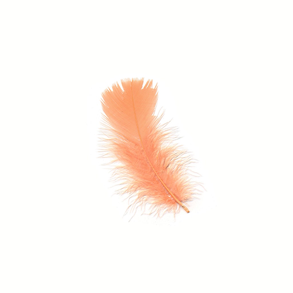 Loose Turkey Plumage Feathers - 1/4 lb - Shrimp