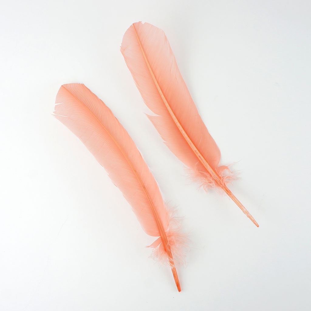 Turkey Quills Selected Apricot Blush