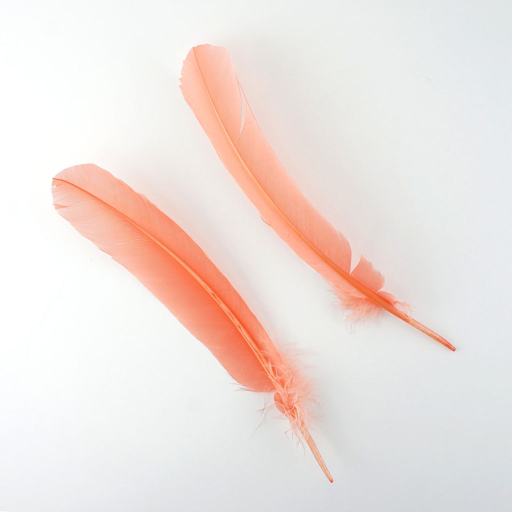 Turkey Quills Selected Apricot Blush