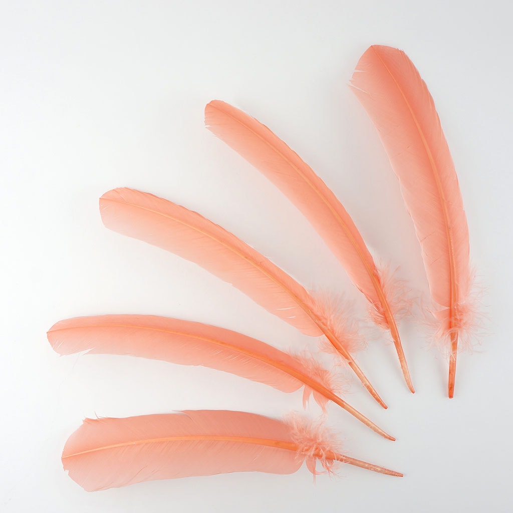 Turkey Quills by Pound - Left Wing - Apricot Blush
