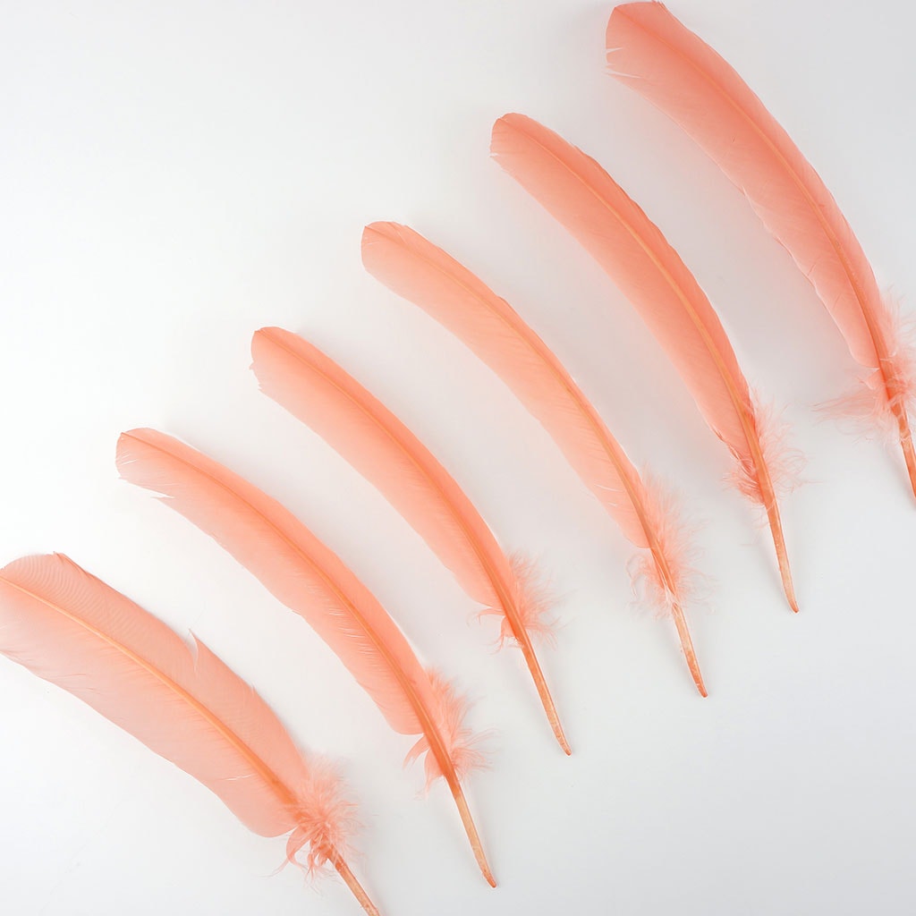 Turkey Quills by Pound - Left Wing - Apricot Blush