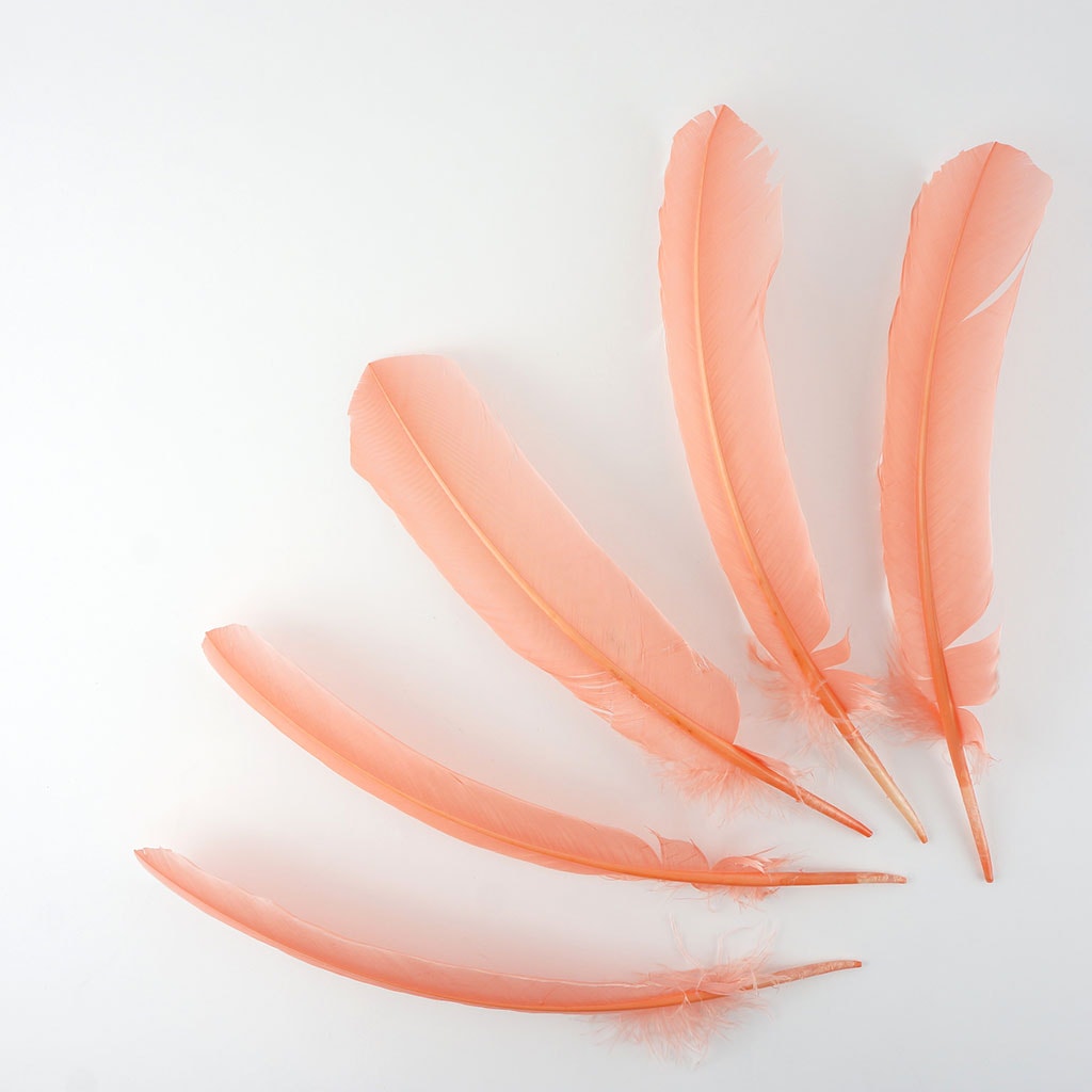 Turkey Quills by Pound - Right Wing - Apricot Blush